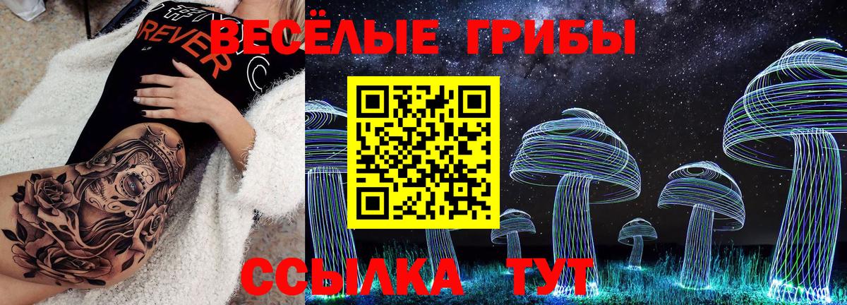 Галлюциногенные грибы Cubensis Киселёвск