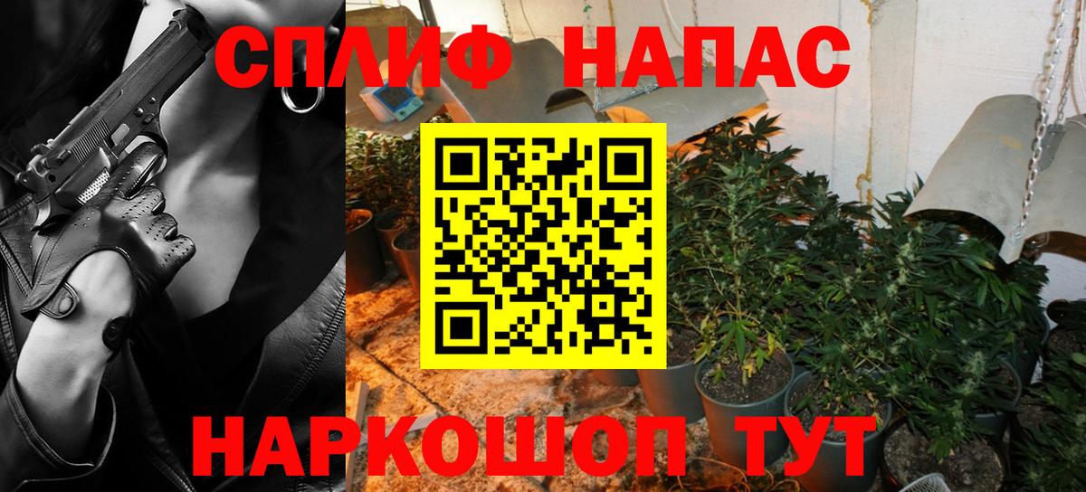 Конопля план  Марихуана Amnesia  Вход с VPN  Киселёвск  Каннабис OG Kush 